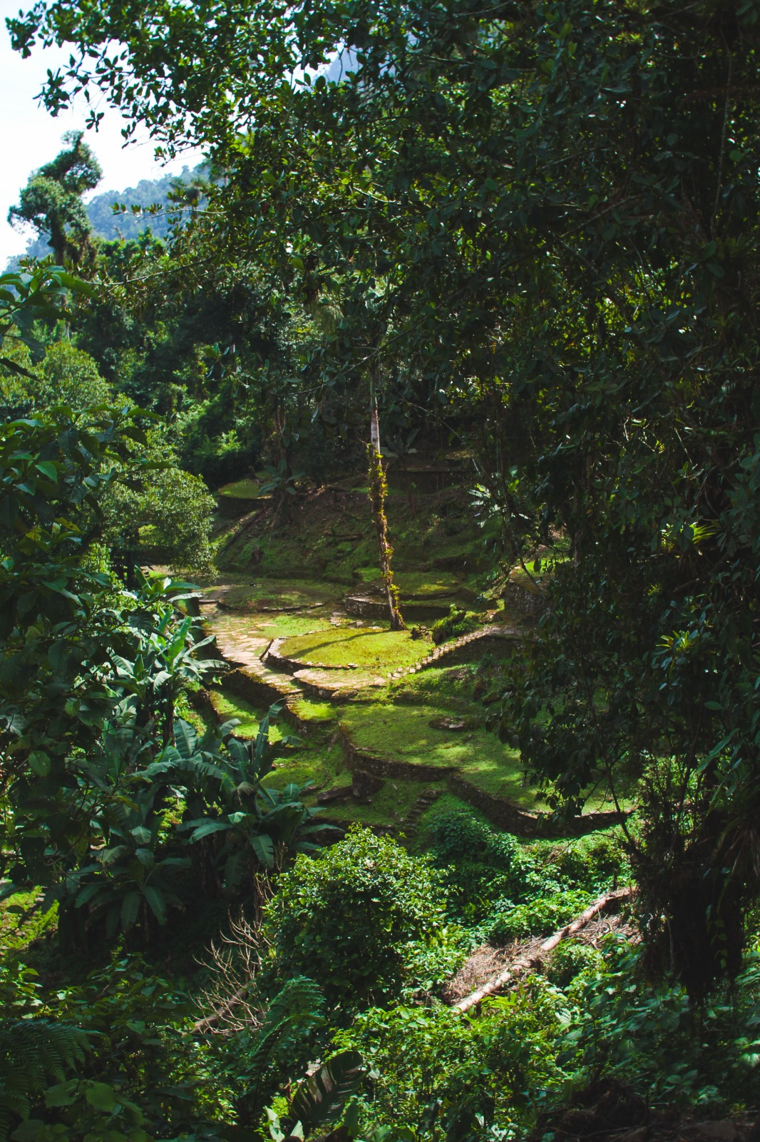 Terrazas de la Ciudad Perdida, Teyuna, Sierra Nevada de Santa Marta